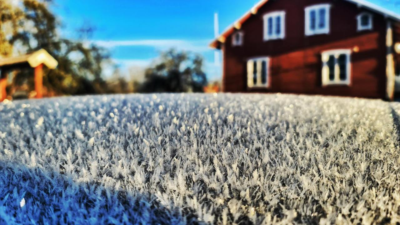 Orrefors Vandrarhem Nybro  Exteriör bild